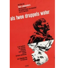 Как две капли воды (1963)