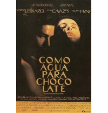 Как вода для шоколада (1991)