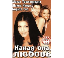 Какая она, любовь (2003)