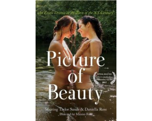 Картина красоты  (фильм 2017) смотреть онлайн