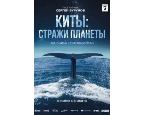 Киты: Стражи планеты  (фильм 2023) смотреть онлайн