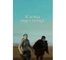 Клетка ищет птицу (2023)