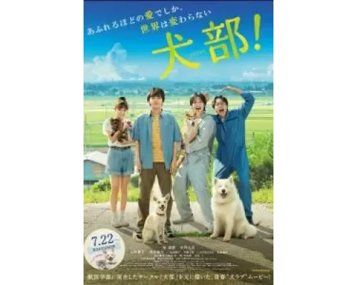 Клуб собак!  (фильм 2021) смотреть онлайн