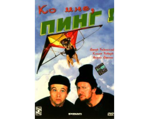 Ко мне, Пинг!  (фильм 2000) смотреть онлайн