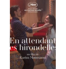 Когда вернутся птицы (2017)