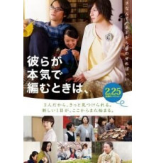 Когда вяжут серьёзно (2017)