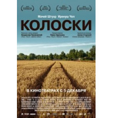 Колоски (2012)
