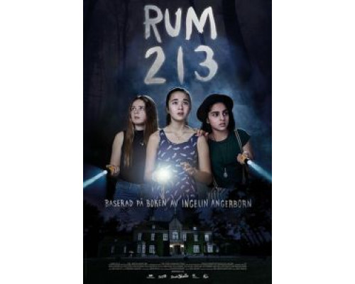 Комната 213  (фильм 2017) смотреть онлайн