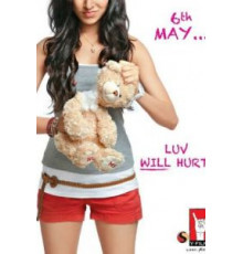 Конец любви (2011)