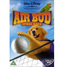 Король воздуха: Возвращение (2003)