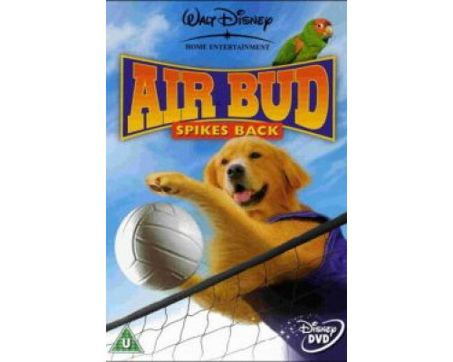 Король воздуха: Возвращение  (фильм 2003) смотреть онлайн