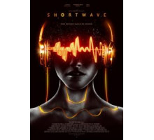 Короткая волна (2016)
