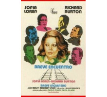 Короткая встреча (1974)