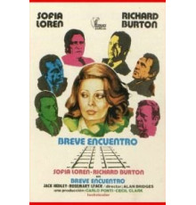 Короткая встреча (1974)