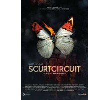 Короткое замыкание (2017)