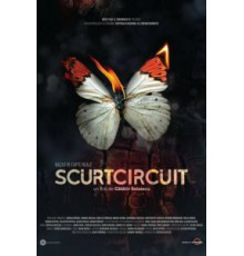 Короткое замыкание (2017)
