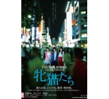 Кошачий рассвет (2017)