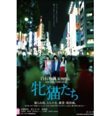 Кошачий рассвет (2017)