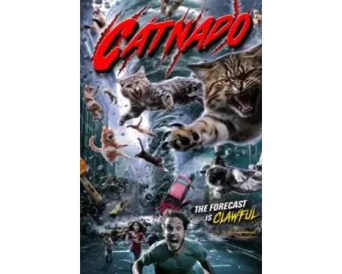 Кошачий торнадо  (фильм 2022) смотреть онлайн