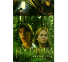 КостяНика. Время лета (2006)
