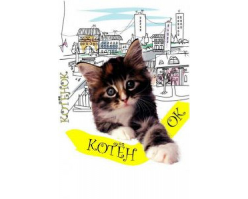 Котенок  (фильм 1996) смотреть онлайн