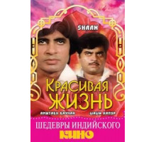 Красивая жизнь (1980)