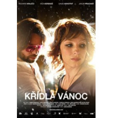 Крылатое Рождество (2013)