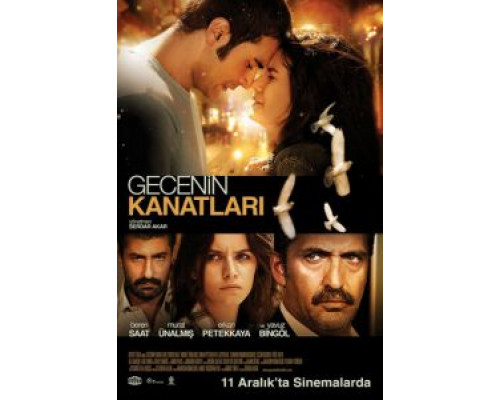 Крылья Гедже  (фильм 2009) смотреть онлайн