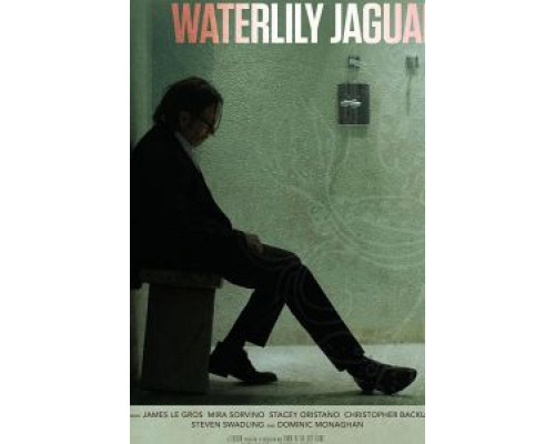Кувшинковый ягуар  (фильм 2018) смотреть онлайн