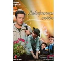 Лабиринты любви (2007)