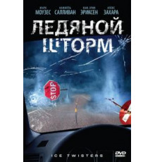 Ледяной шторм (2009)