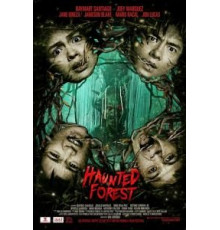 Лес призраков (2017)