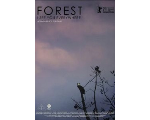 Лес: Вижу тебя повсюду  (фильм 2021) смотреть онлайн