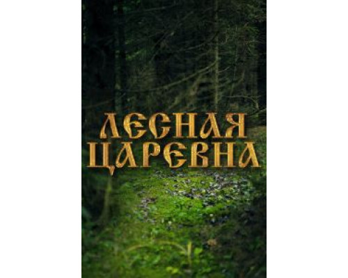 Лесная царевна  (фильм 2005) смотреть онлайн