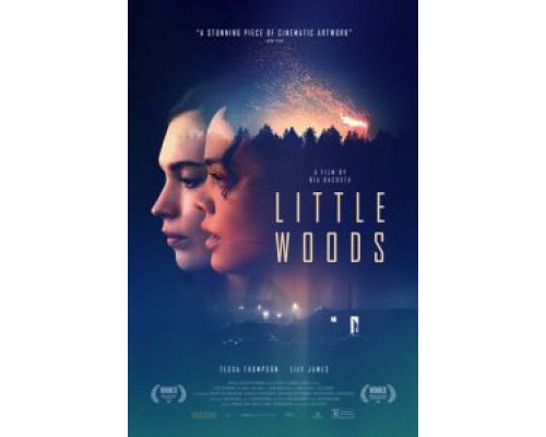 Лесок  (фильм 2018) смотреть онлайн