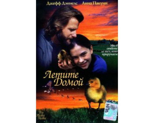 Летите домой  (фильм 1996) смотреть онлайн