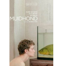 Линь (2019)
