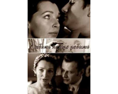 Любить нельзя забыть  (фильм 2012) смотреть онлайн