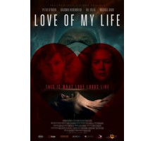 Любовь моей жизни (2013)