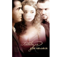 Любовь на два полюса (2011)