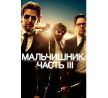 Мальчишник: Часть III (2013)