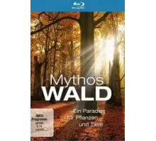 Мифы леса (2009)