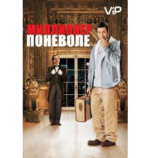 Миллионер поневоле (2002)