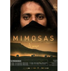 Мимозы (2016)