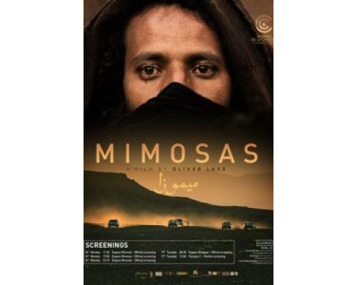 Мимозы  (фильм 2016) смотреть онлайн