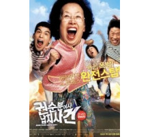 Миссия выполнима: Похищение бабули (2007)