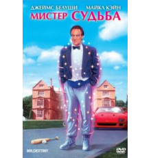 Мистер Судьба (1990)
