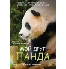 Мой друг панда (2024)