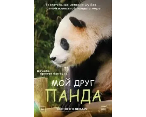 Мой друг панда  (фильм 2024) смотреть онлайн