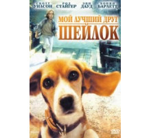 Мой лучший друг Шейлок (1996)